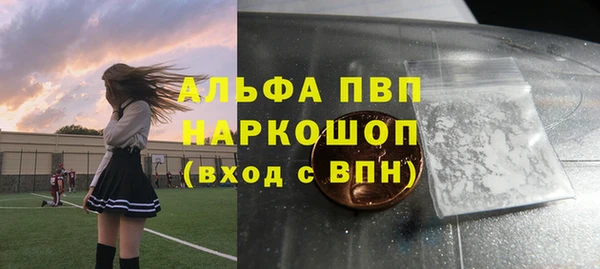 прущий лед Верея